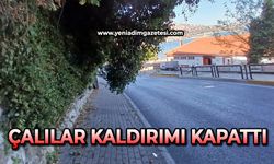 Çalılar kaldırımı kapattı