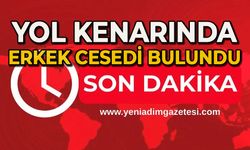 Yol kenarında erkek cesedi bulundu