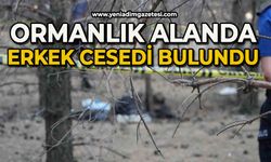 Ormanlık alanda erkek cesedi bulundu