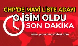 CHP’de Mavi Liste adayı o isim oldu