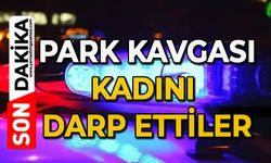Park yeri kavgasında kadın sürücü darbedildi