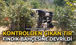 Kontrolden çıkan tır fındık bahçesine devrildi