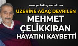 Üzerine ağaç devrilen Mehmet Çelikkıran hayatını kaybetti