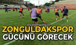 Zonguldakspor gücünü görecek