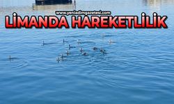Zonguldak limanında hareketlilik