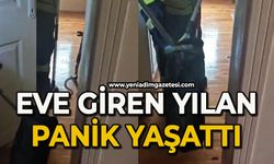Eve giren yılan itfaiye ekiplerince yakalanarak doğaya salındı