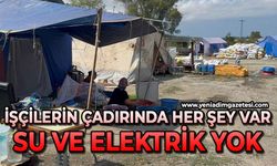 Fındık işçilerinin çadır hayatında her şey var, su ve elektrik yok