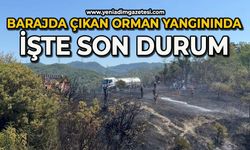 Ulutan Barajı'nda çıkan orman yangında işte son durum