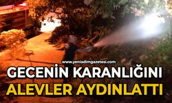 Gecenin karanlığını yangının alevleri aydınlattı