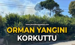 Ormanlık alanda çıkan yangın korkuttu