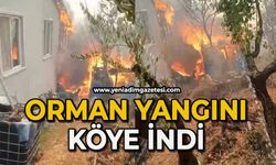 Orman yangını köye indi