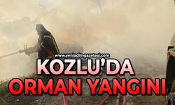 Kozlu'da orman yangını