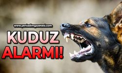 Zonguldak'ta kuduz alarmı