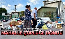 Mahalle çöplüğe döndü