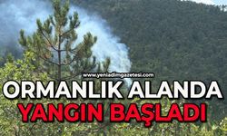 Ormanlık alanda yangın başladı