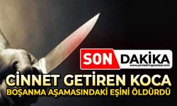 Cinnet getiren koca boşanma aşamasındaki eşini bıçaklayarak öldürdü