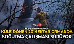 Küle dönen 20 hektar ormanda, soğutma çalışması sürüyor