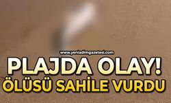 Plajda olay: Ölüsü karaya vurdu