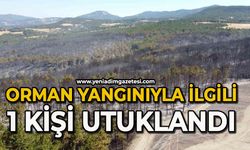 Orman yangınıyla ilgili 1 kişi tutuklandı