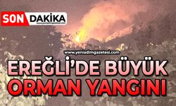Ereğli'de büyük orman yangını: Ekipler bölgeye sevk edildi