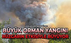 Orman yangını rüzgarın etkisiyle büyüyor