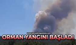 Orman yangını başladı