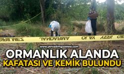 Ormanlık alanda kafatası ve kemikler bulundu
