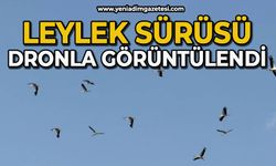 Leylek sürüsü ve yuvaları dronla görüntülendi