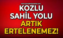 Kozlu Sahil Yolu artık ertelenemez!