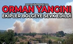 Orman yangını başladı: Ekipler bölgede