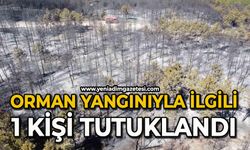 Orman yangınında 1 kişi tutuklandı