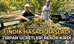Fındık hasadı başladı, tırpan ücretleri rekor kırdı