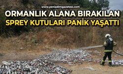 Ormana bırakılan yüzlerce sprey kutusu paniğe sebep oldu