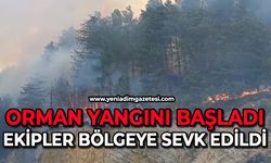 Orman yangını başladı: Havadan ve karadan müdahale sürüyor