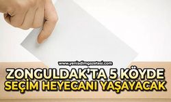 Zonguldak'ta 5 köyde seçim heyecanı yaşanacak