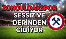 Zonguldakspor sessiz ve derinden gidiyor