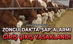 Zonguldak'ta şap alarmı: Giriş-çıkışlar yasaklandı
