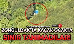 Zonguldak'ta kaçak ocakta sınır tanımadılar!