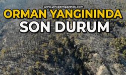 Orman yangını büyük ölçüde kontrol altına alındı