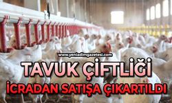 Tavuk çiftliği icradan satışa çıkartıldı