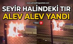 Seyir halindeki tır alevlere teslim oldu