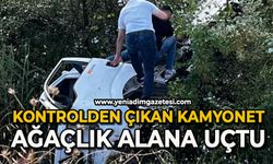 Kontrolden çıkan kamyonet ağaçlık alana uçtu: 1 yaralı