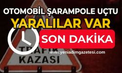 Otomobil şarampole uçtu: Yaralılar var