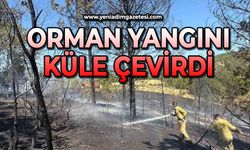 Ormanlık alanda çıkan yangın küle çevirdi