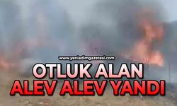Otluk alan alev alev yandı