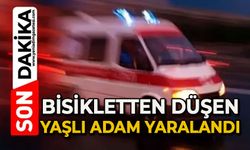Bisikletinden düşen yaşlı adam yaralandı