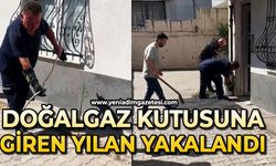 Doğalgaz kutusuna giren yılanı ekipler yakaladı