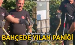 Evin bahçesinde yılan paniği