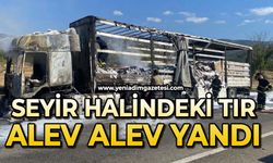 Seyir halindeki tır alev alev yandı