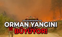 Orman yangını rüzgarın etkisiyle büyüyor
